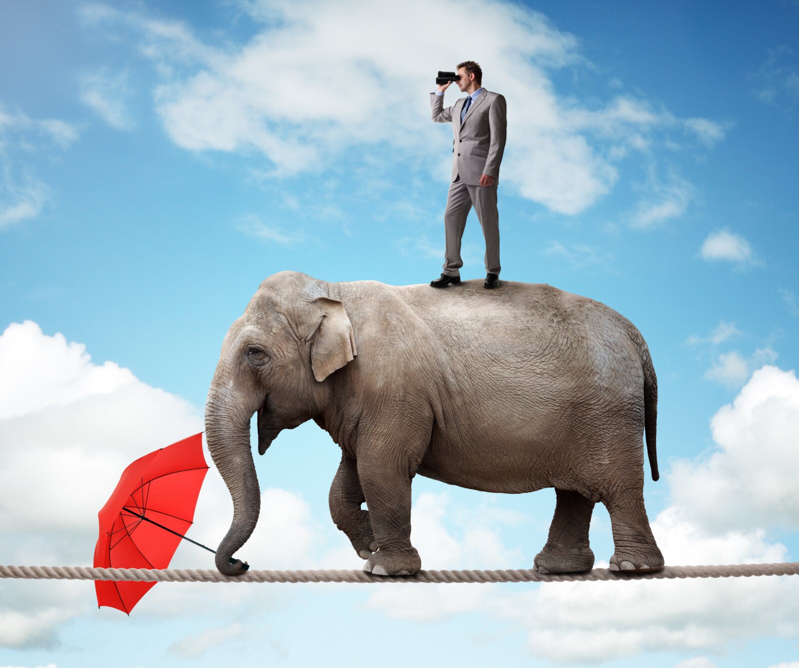Businessman standing on top of elephant balancing on a tightrope looking th...