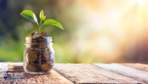 Plant Growing In Savings Coins - Investment And Interest Concept